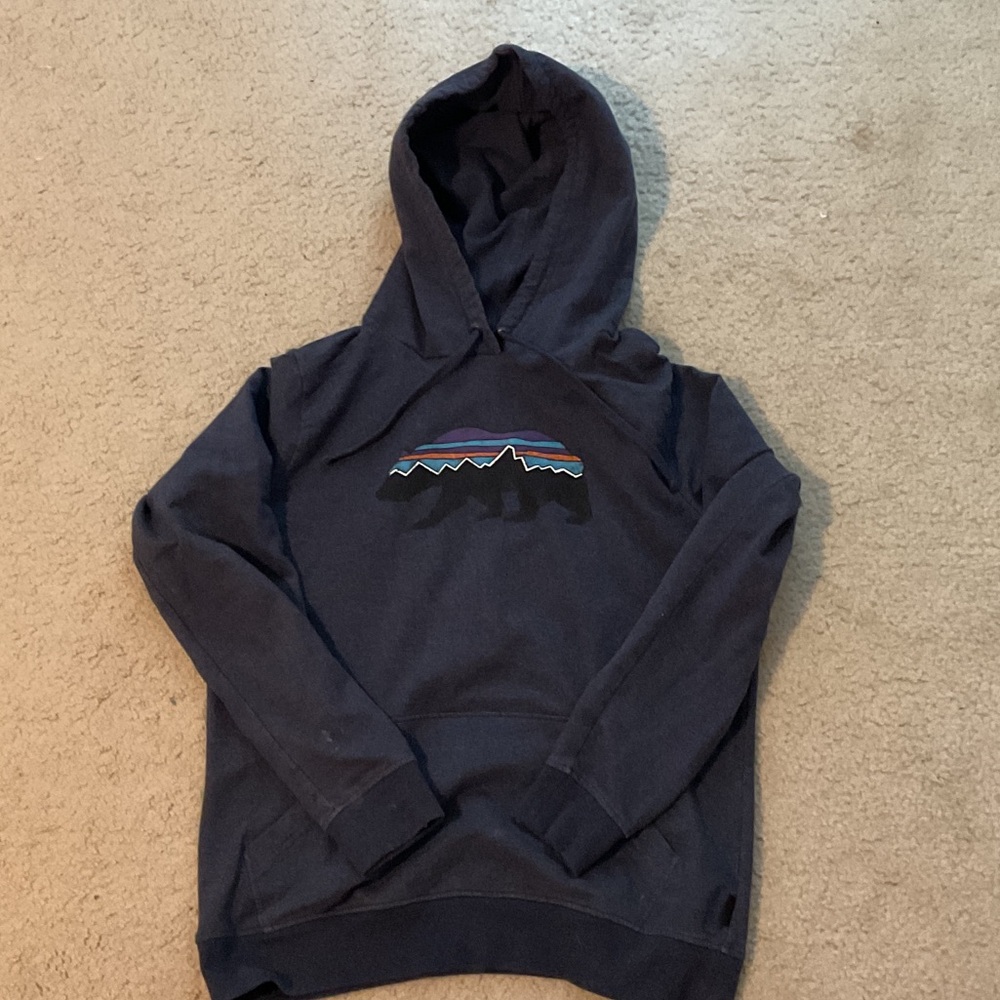 Unisex Patagonia Dark Blue Hoodie with Bear Design